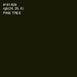 #181A06 - Pine Tree Color Image